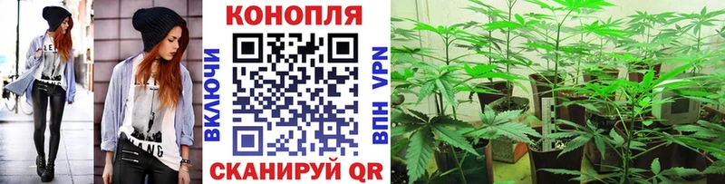 Магазины продажи наркотиков Мирный Гашиш Конопля Cocaine Амфетамин МЕФ A-PVP