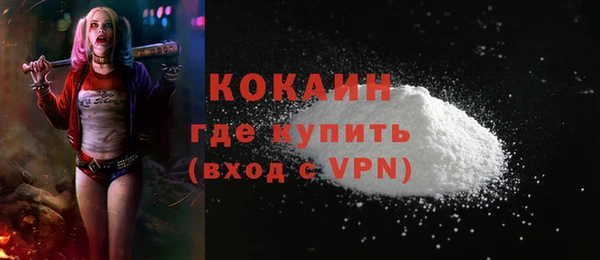 тгк Нея