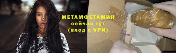 прущие грибы Нефтекумск