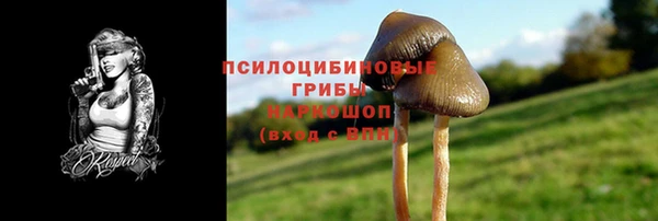 ГАЛЛЮЦИНОГЕННЫЕ ГРИБЫ Надым