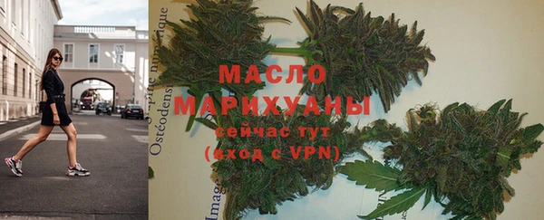 тгк Нея