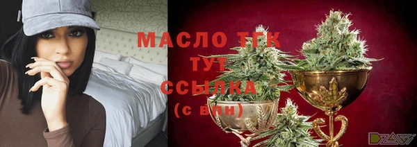 тгк Нея